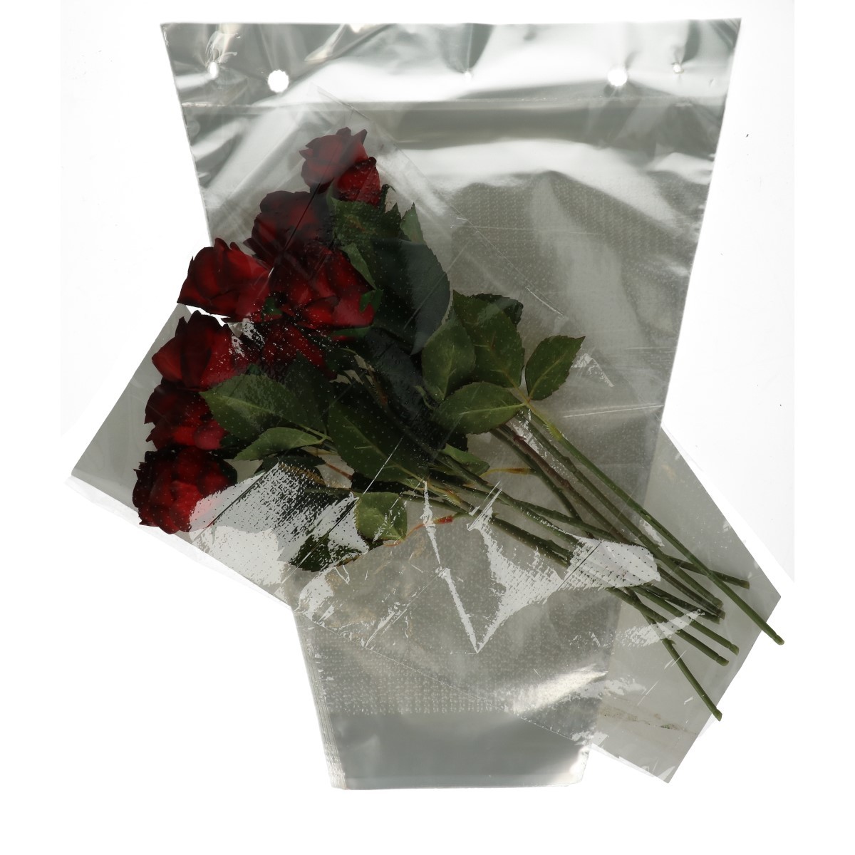 50*35*12 Cpp30 Hn X1500