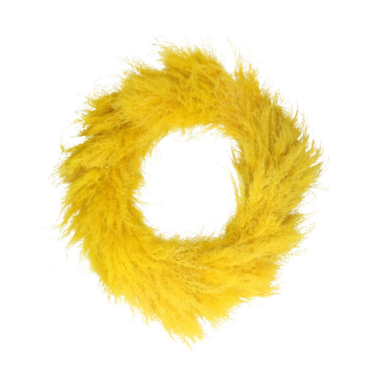 D40cm Lao Grass
